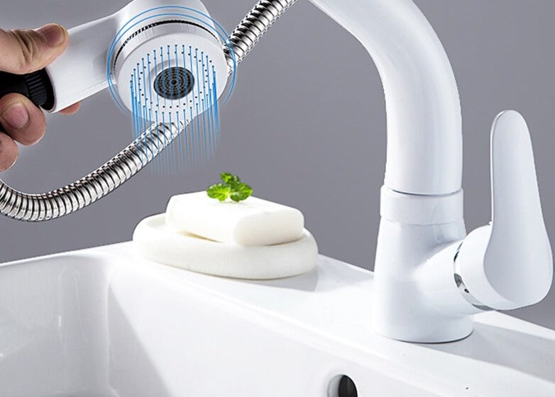 FlexiStream Adjustable Bathroom Faucet Pull-Out Elegant Finish