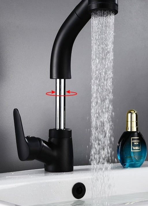 FlexiStream Adjustable Bathroom Faucet Pull-Out Elegant Finish