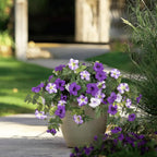Spring-like Artificial Petunias made of Silk