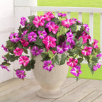 Spring-like Artificial Petunias made of Silk