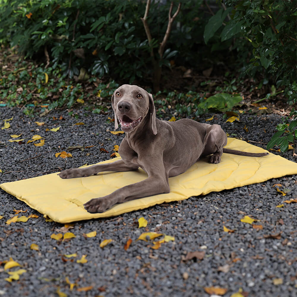 Folding Waterproof Portable Dog Car Seat Mat Dog Camping Mat