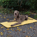 Folding Waterproof Portable Dog Car Seat Mat Dog Camping Mat