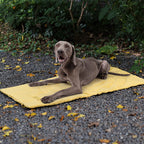 Folding Waterproof Portable Dog Car Seat Mat Dog Camping Mat