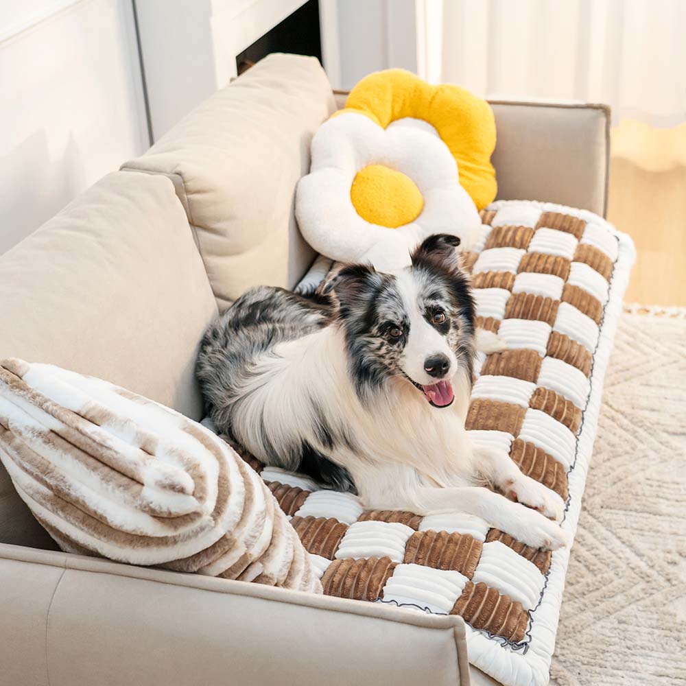 CozyCover – Elegant Blanket for Pet and Human