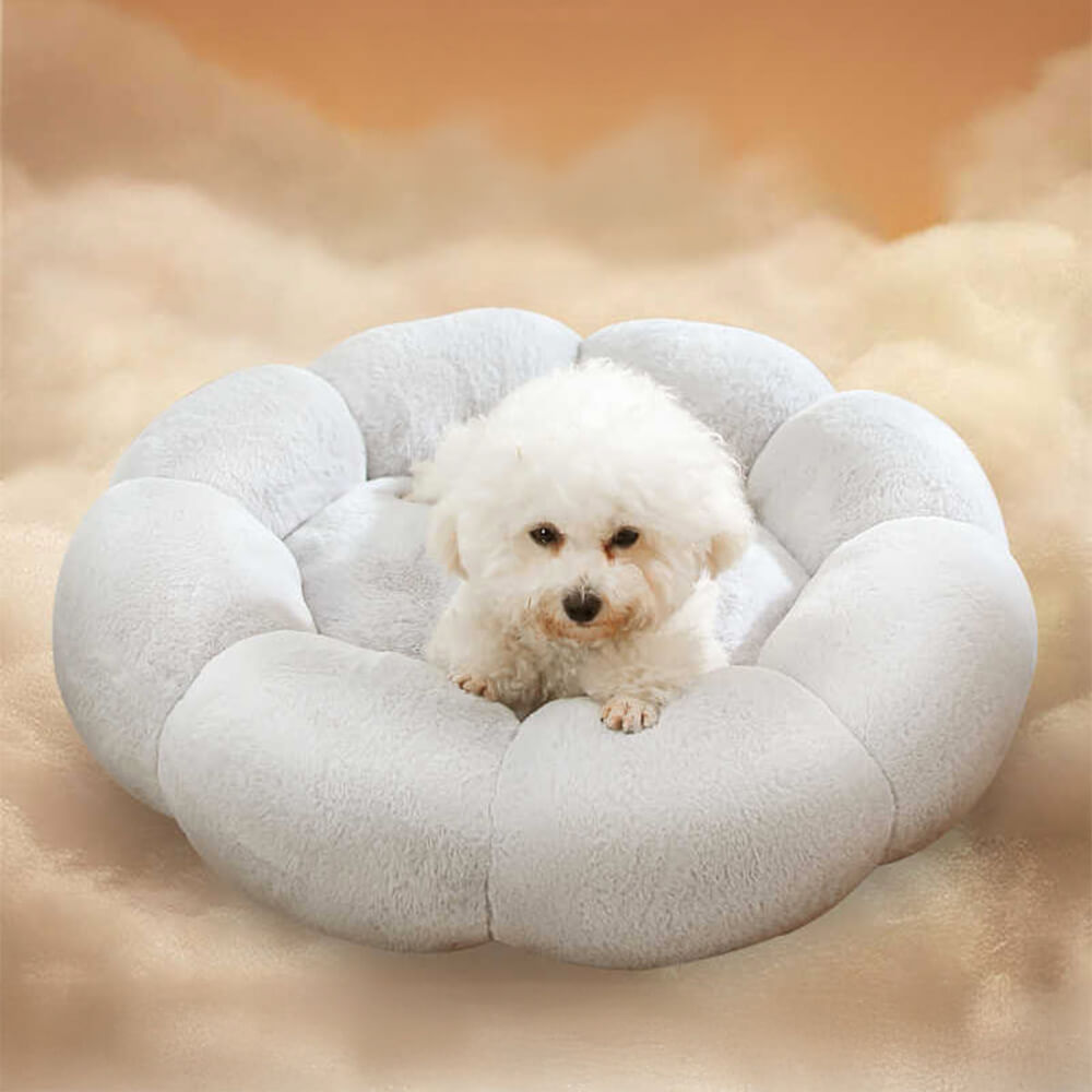 Flower Heat Full Support Washable Decoration Dog & Cat Bed