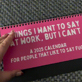 Funny 2025 sarcastic calendar