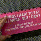 Funny 2025 sarcastic calendar