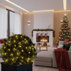 10–20 m LED string lights for festive garden glow outdoors