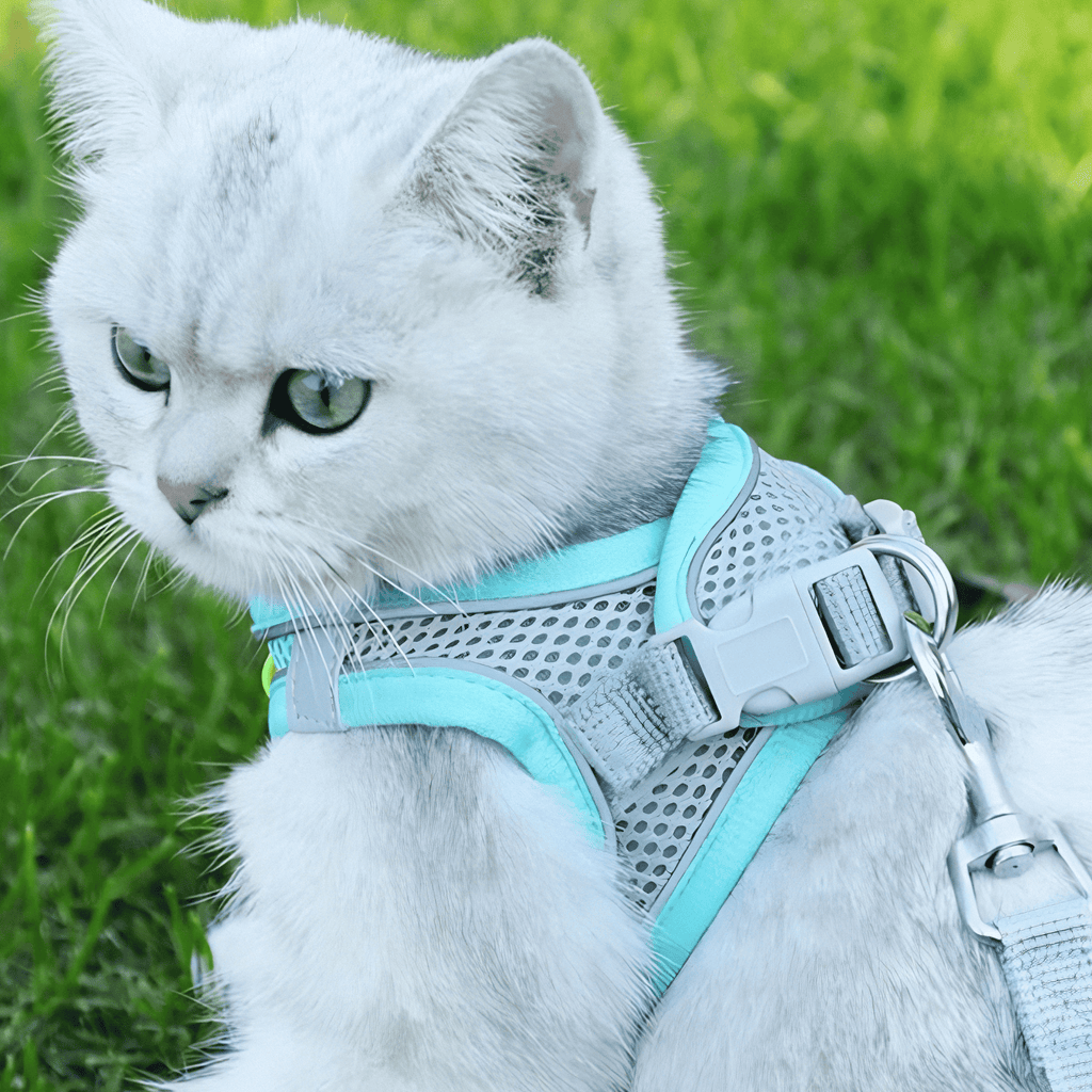 Adjustable Cat T-shirt – Breathable Mesh Safety Design for Outdoor Adventures, Escape-proof and Fully Adjustable Fit