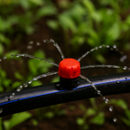 Garden Irrigation Drip Sprinkler System