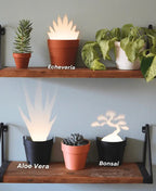 Garden-Graveyard-Plant Pot with LED Light Projection