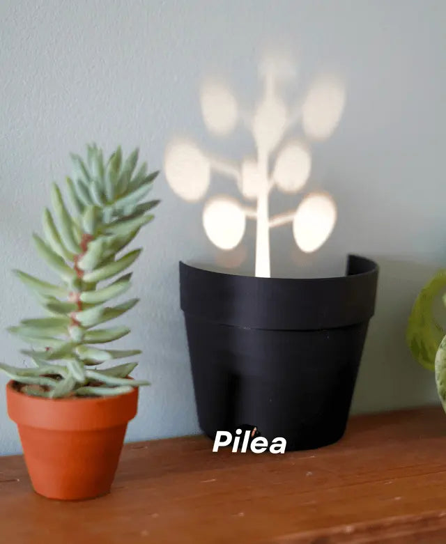 Garden-Graveyard-Plant Pot with LED Light Projection