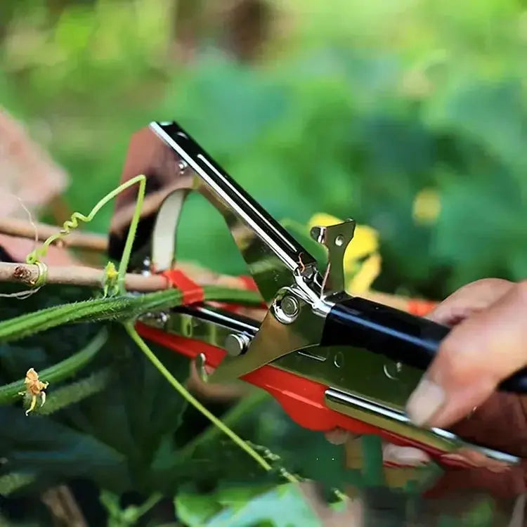 Garden Plant Tying Tool Set | 10 Rolls of Tape and 10,000 Staples