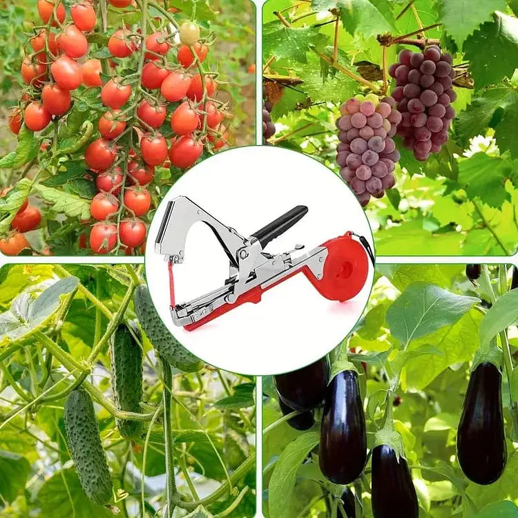 Garden Plant Tying Tool Set | 10 Rolls of Tape and 10,000 Staples