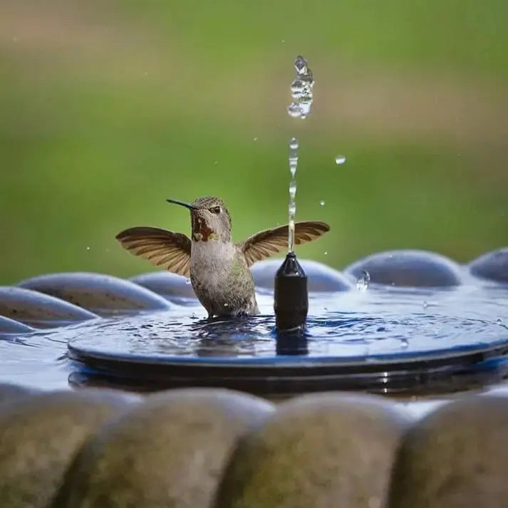 Solar-powered garden fountain – Beautiful ambiance without electricity