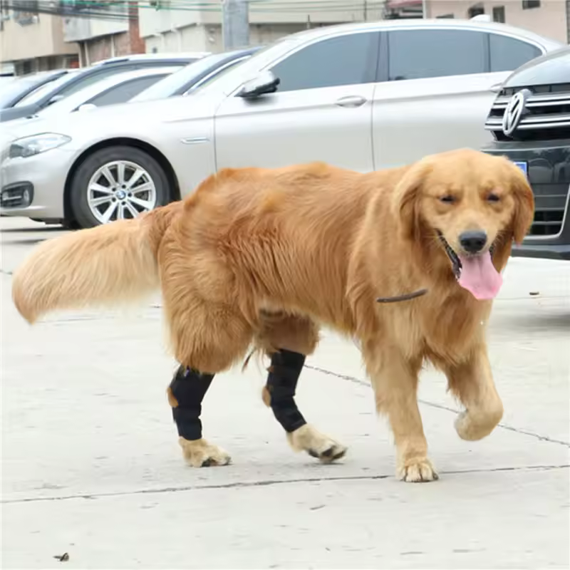 Joint support for dogs stabilizing & protecting