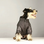 Padded Winter Jacket for Dogs - FurShield