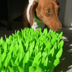 Pet Feeding Mat | MealMat Slow Feeder | Interactive Grass Design | Non-Slip Silicone | 14.2" x 6.6"