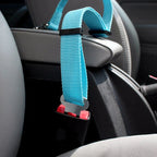 Safety seatbelt for Pets
