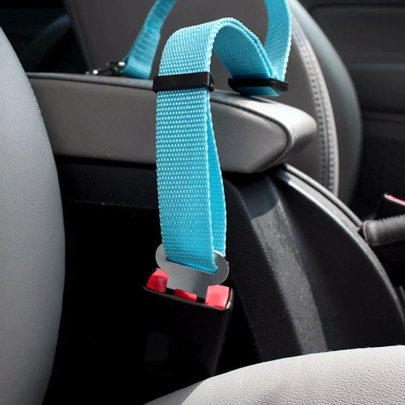 Safety seatbelt for Pets