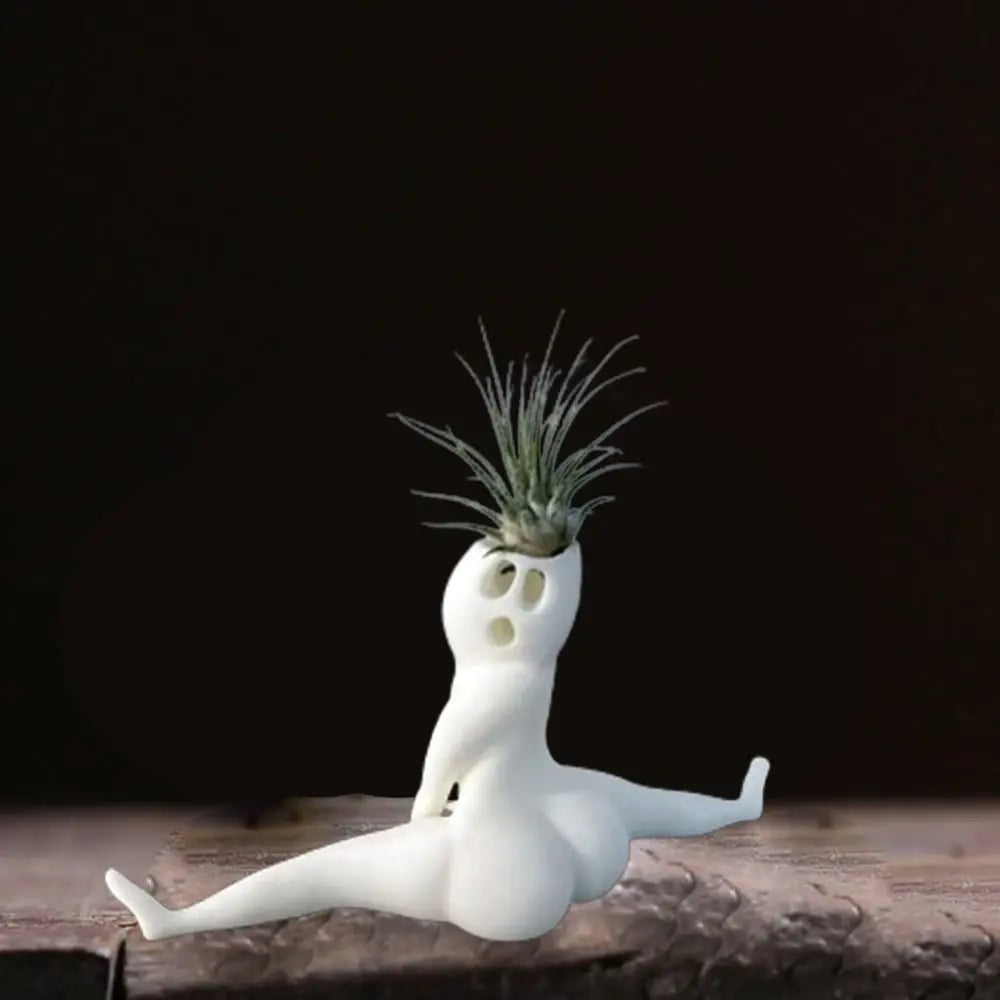 Spooky Shape Air Plant Display - SpookyBuddy