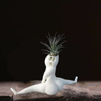 Spooky Shape Air Plant Display - SpookyBuddy