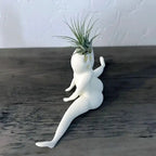 Spooky Shape Air Plant Display - SpookyBuddy