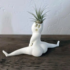 Spooky Shape Air Plant Display - SpookyBuddy