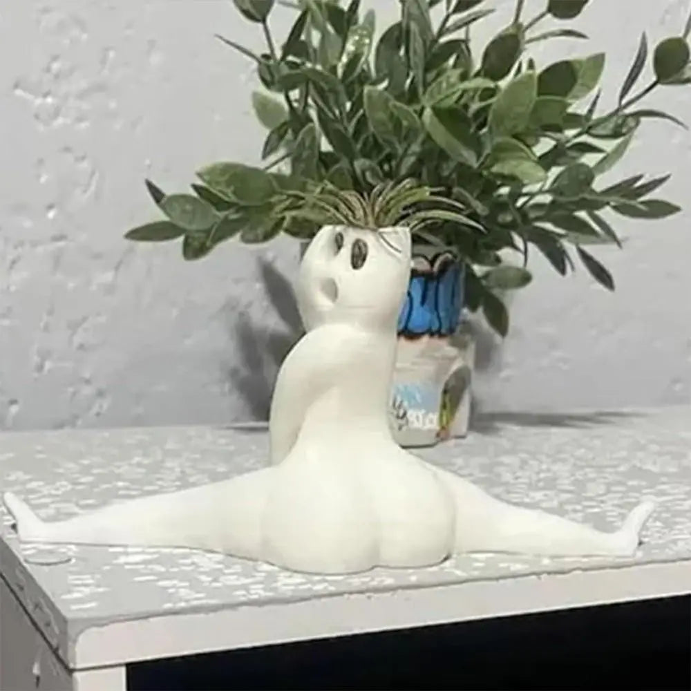 Spooky Shape Air Plant Display - SpookyBuddy