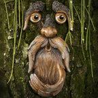WiseWood - Old Man Tree Face