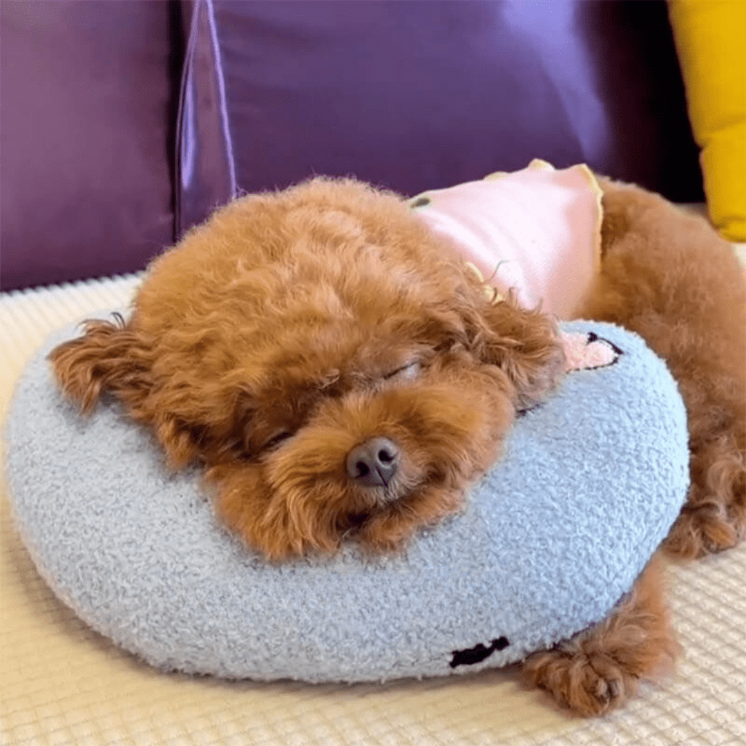 Orthopaedic dog cushion against stress & anxiety