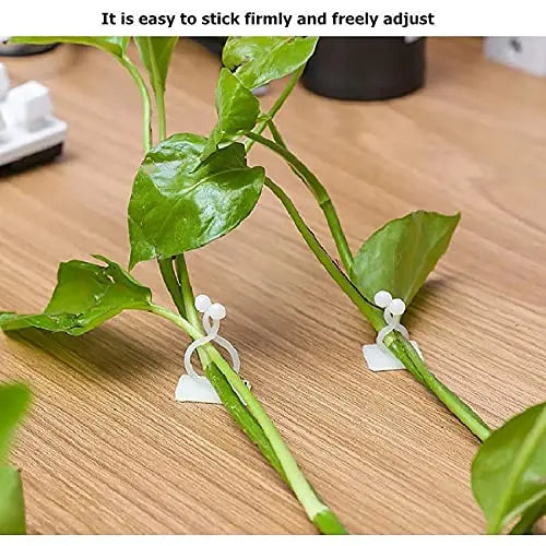 Climbing Wall Mounting Clips – Practical Plant Holders for Wall Decoration