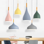 Talon - Modern Drop-Shaped Wooden Pendant Light Scandinavian Ceiling Light