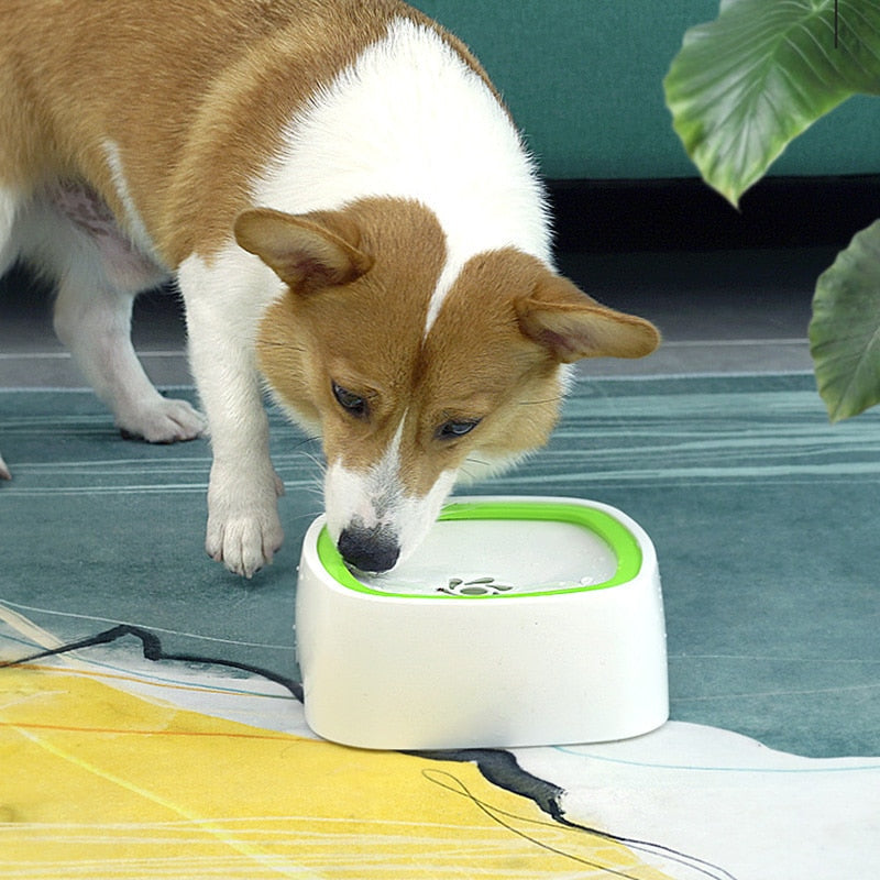 Automatic Pet Water Fountain