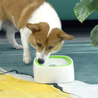 Automatic Pet Water Fountain