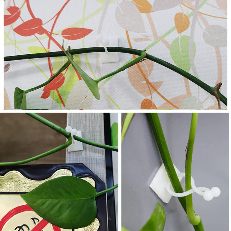 Climbing Wall Mounting Clips – Practical Plant Holders for Wall Decoration