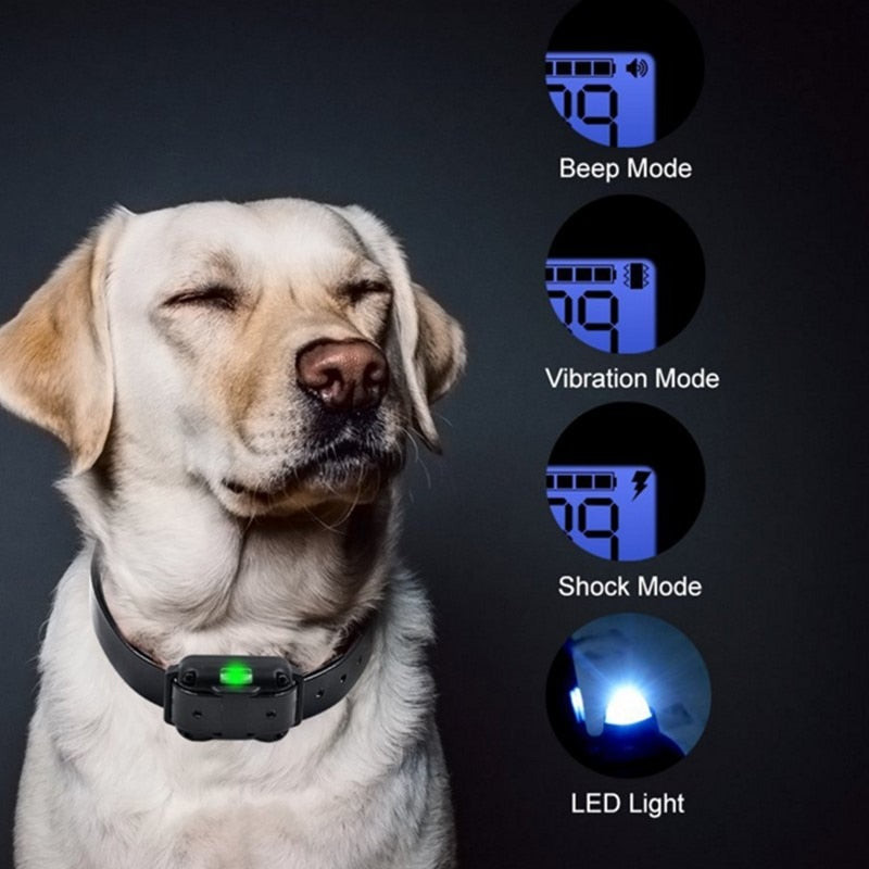 Long Shot Electric Dog Training Waterproof Collar