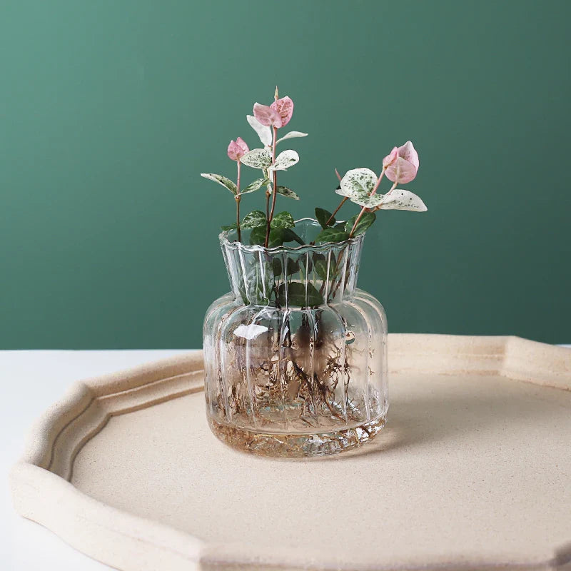 Glass Vase (Various Shape)