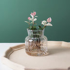Glass Vase (Various Shape)