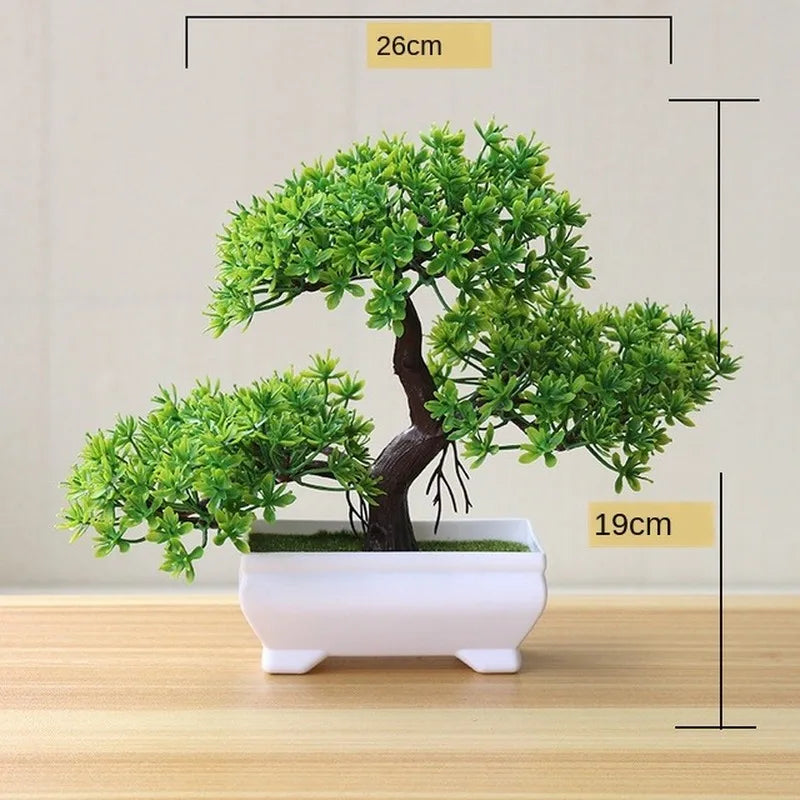 Small Tree Pot Bonsai Plants