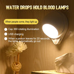 360 Rotating Water Drop Magnetic Night Lamp
