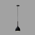 Modern Metal Pendant Light for Dining Room, Canteen, Bar, Restaurant - YANKE