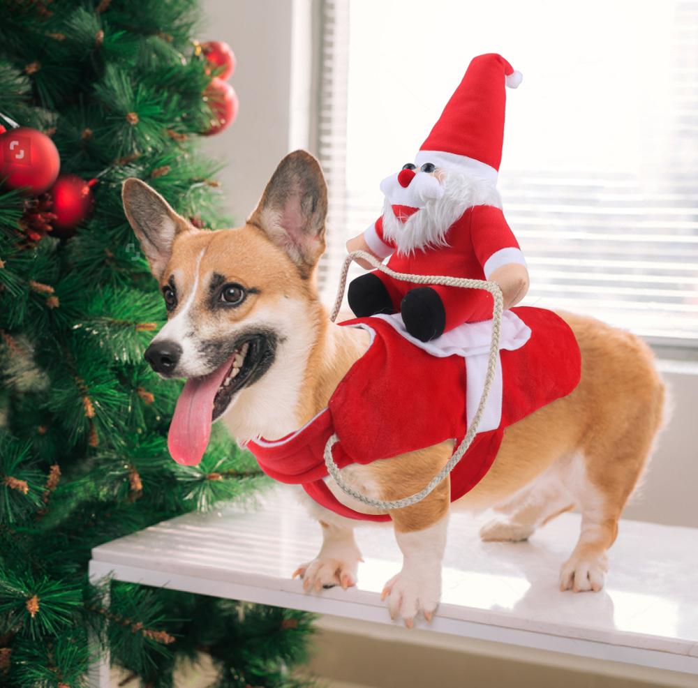 HollyPaws - cozy, adjustable Christmas outfit for dogs