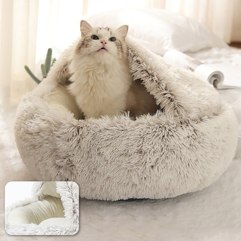 CatHaven Luxury Feline Lounge