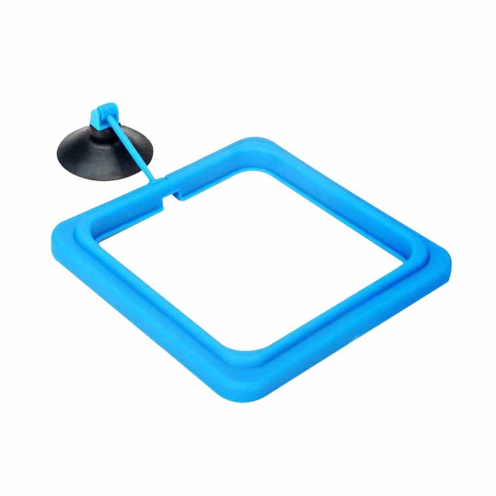 Aquarium feeding ring