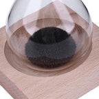 Hour Gallows Magnetic Sand