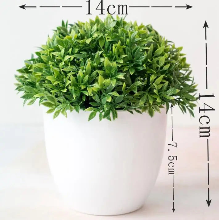 Small Tree Pot Bonsai Plants