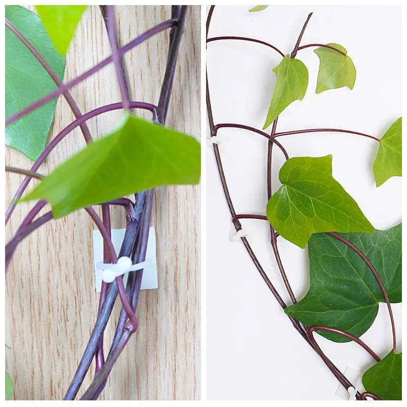 Climbing Wall Mounting Clips – Practical Plant Holders for Wall Decoration