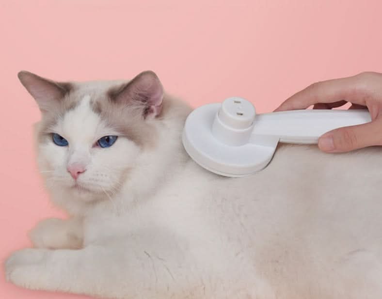 Self-cleaning cat brush for less hair loss