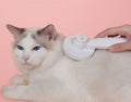 Innovative Cat Brush for Grooming